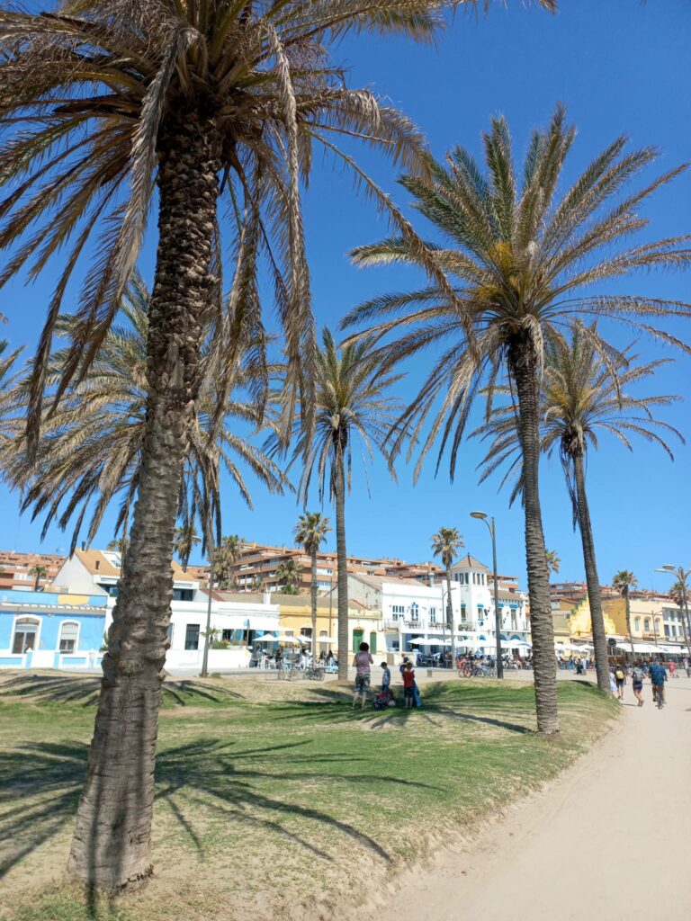 fietstour valencia